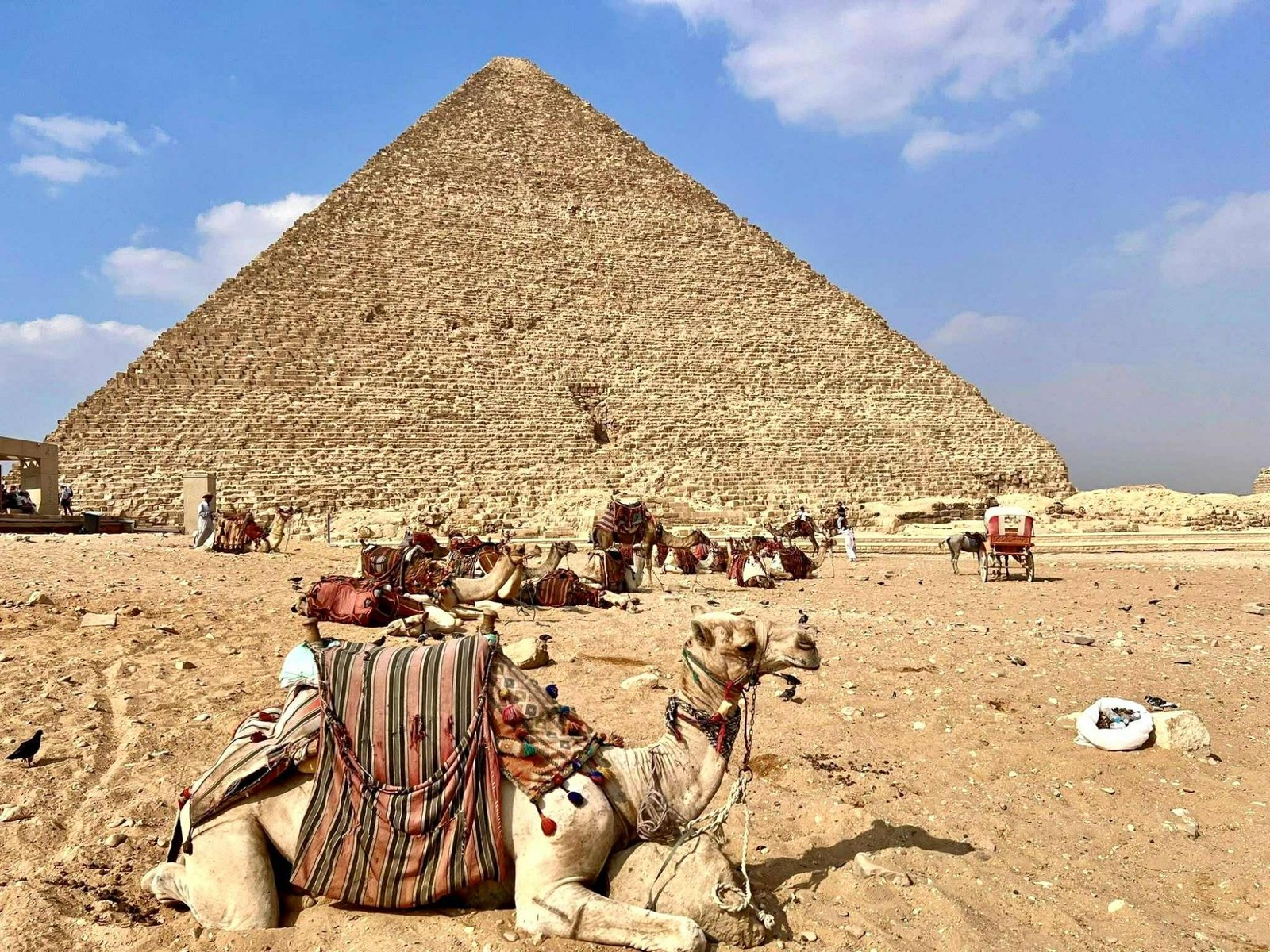 Happy guests at Pyramids of Giza Cairo tour